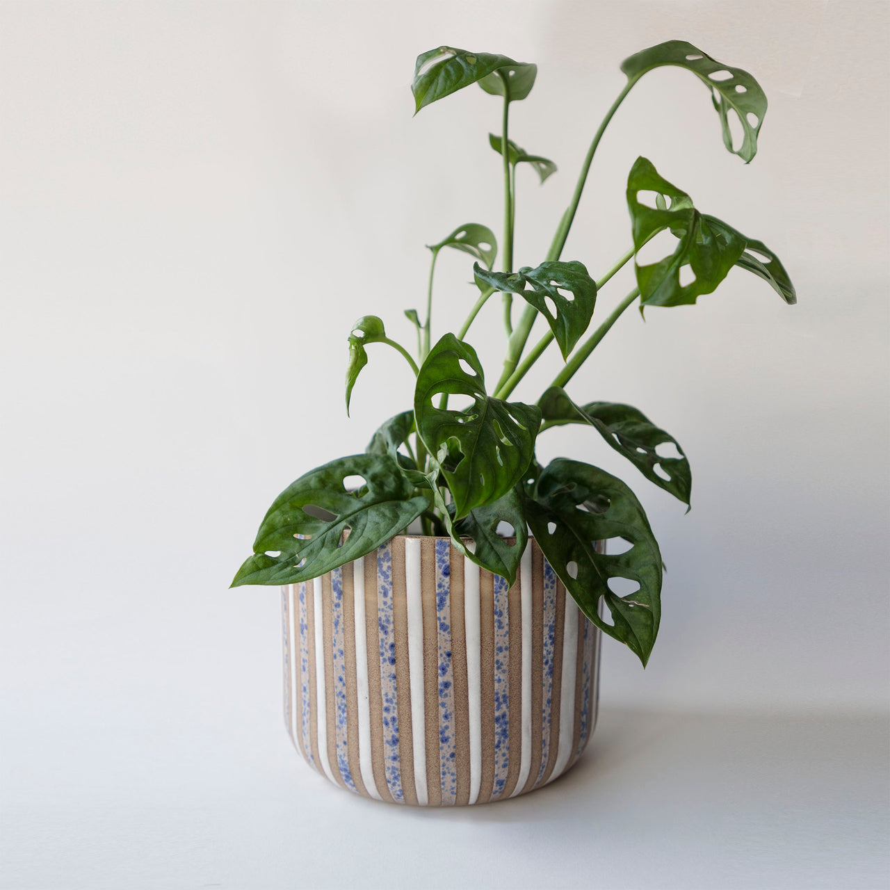 Striped White and Speckled Blue Planter